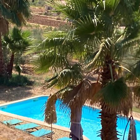 La Venturonne Appartement Neuf Rez De Jardin 45 M2 Vue Mer Et Vignes 10 Mn Des Plages Le Beausset Bagian luar foto