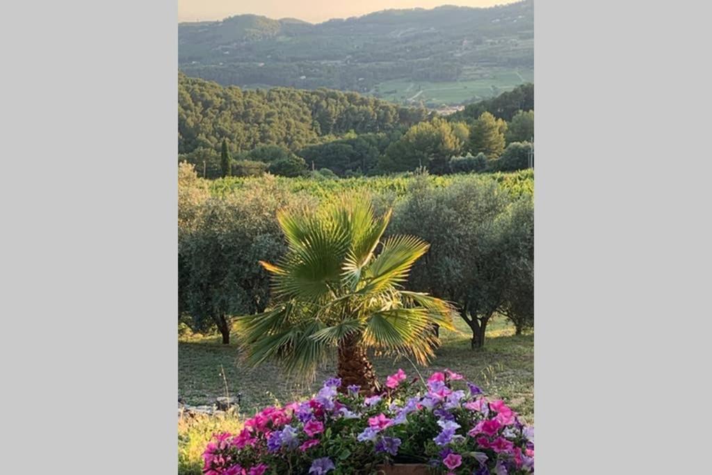 La Venturonne Appartement Neuf Rez De Jardin 45 M2 Vue Mer Et Vignes 10 Mn Des Plages Le Beausset Bagian luar foto