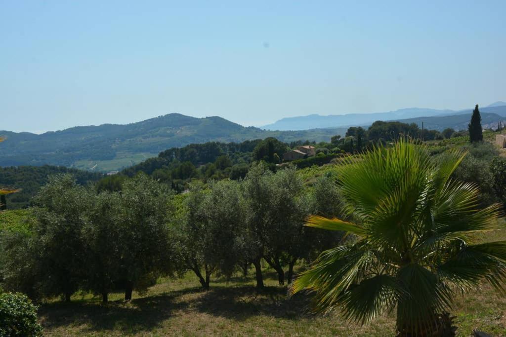 La Venturonne Appartement Neuf Rez De Jardin 45 M2 Vue Mer Et Vignes 10 Mn Des Plages Le Beausset Bagian luar foto